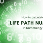 How to Calculate Your Life Path Number In 2024