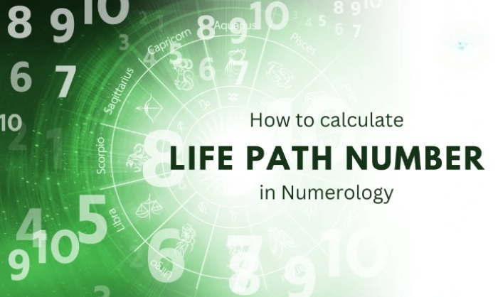 How to Calculate Your Life Path Number In 2024